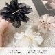 �Х�å� �إ������� ��ǥ����� ���������꡼ ���塼�� ������� �ץ졼�� ������ Ʃ���� �ޤȤ�ȱ ������pt100��