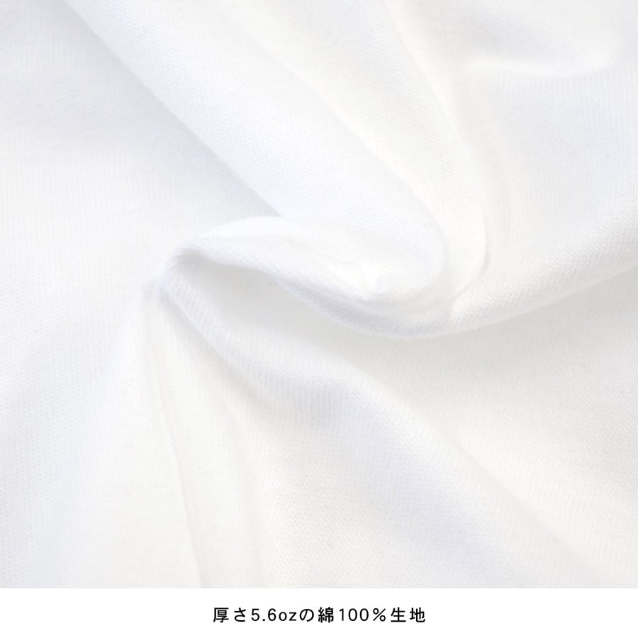 �饰���T����� ��ʬµ ����T ��ǥ����� ��� �ȥåץ� ��100�� ���� ������ T����� SENDAI ������pt100��