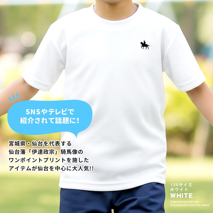 ��ã���� T����� ���å� Ⱦµ �ˤλ� ���λ� �ɥ饤 �ۿ�®�� UV���å� �糰���к� �Ҷ��� ������pt100��