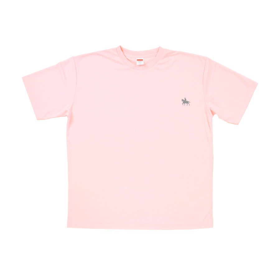 T ǥ Ⱦµ  礭 ӥåT ӥå ä ȥåץ    pt100