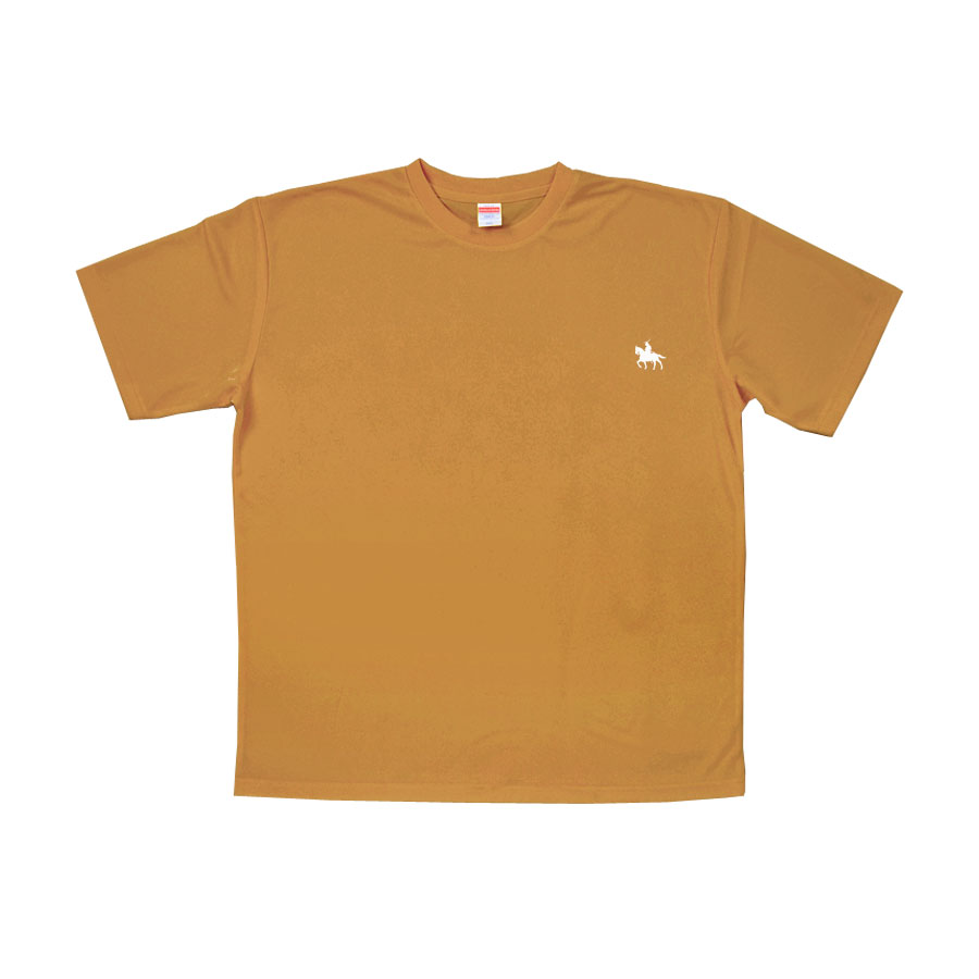 T ǥ Ⱦµ  礭 ӥåT ӥå ä ȥåץ    pt100