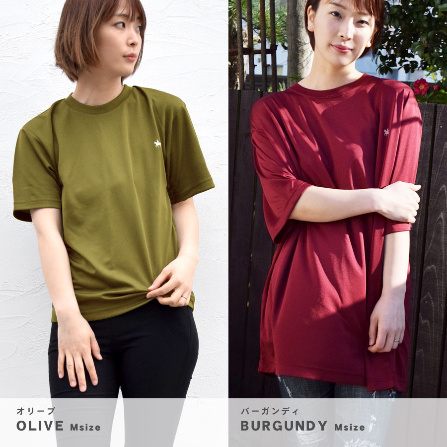 T ǥ Ⱦµ  礭 ӥåT ӥå ä ȥåץ    pt100