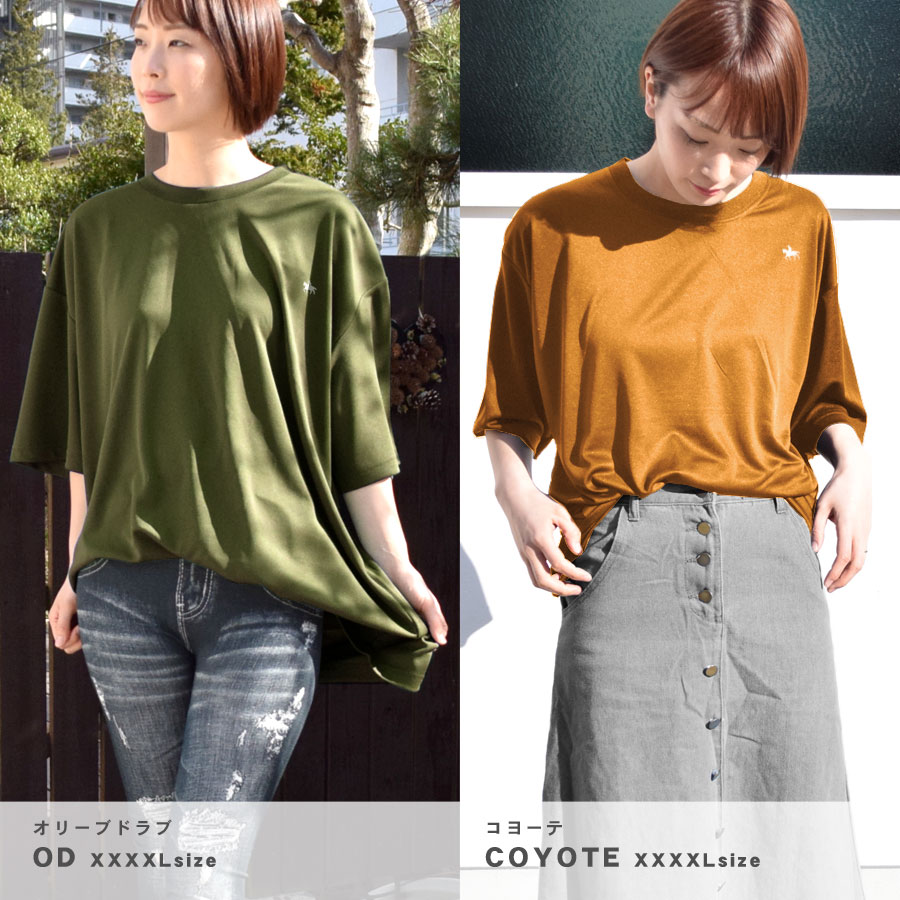 T ǥ Ⱦµ  礭 ӥåT ӥå ä ȥåץ    pt100