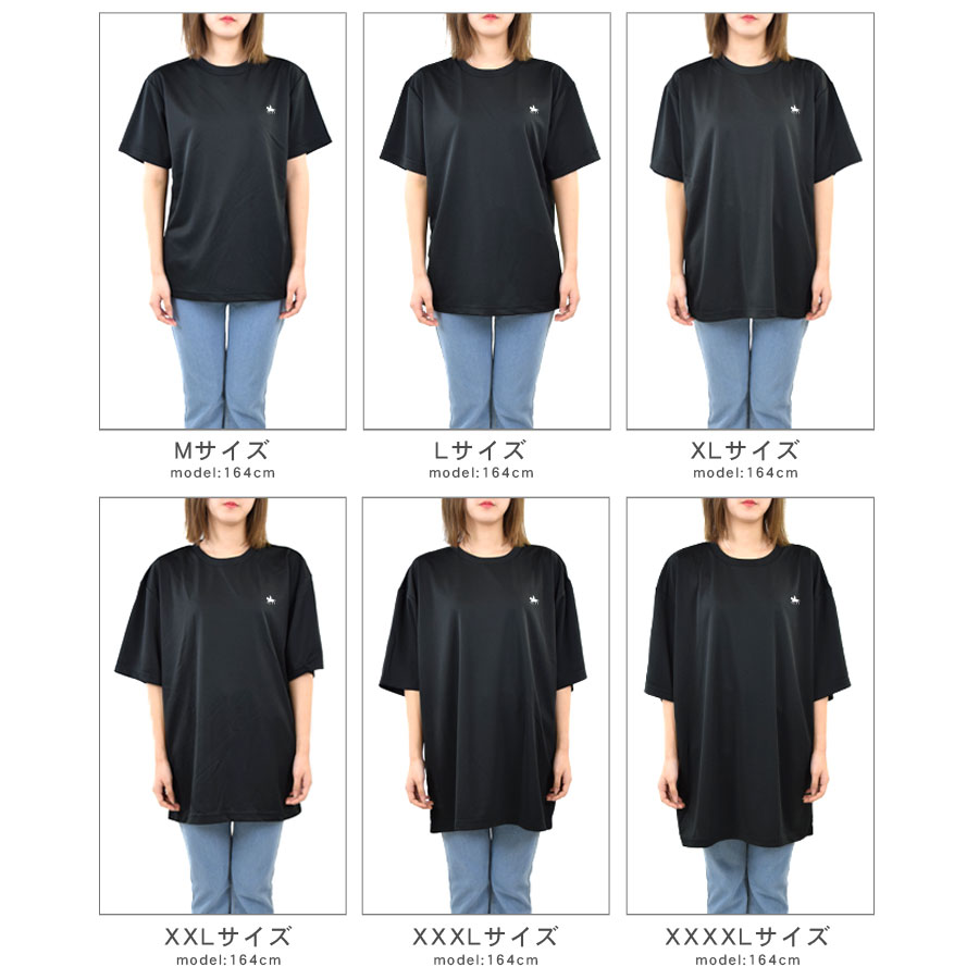 T ǥ Ⱦµ  礭 ӥåT ӥå ä ȥåץ    pt100