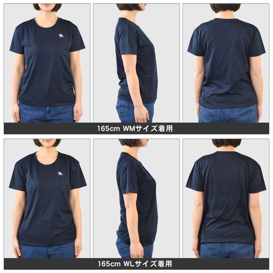 ��ã���� T����� ��ǥ����� Ⱦµ ���ݡ��� �����奢�� �ۿ�®�� �ɥ饤 �ȥåץ� 4.1���� ������pt100��