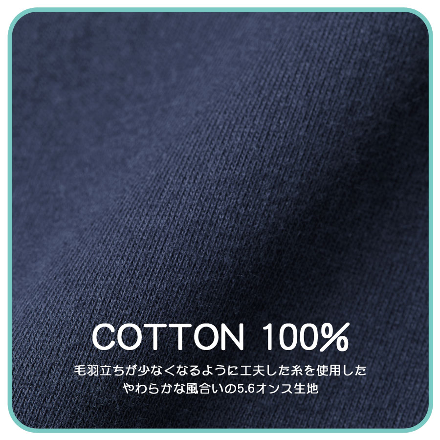 ����ѡ��� ���С������� �٥ӡ� �֤������ ��ã���� ��100�� ���åȥ� 80cm ������ ���������� �֤���� �л��ˤ�������pt100��