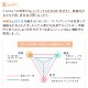 �����ǥ����� ��ǥ����� ���� Ĺµ ���줤�� UV UV���å� UV���� Ķ���� �ڤ� ���� �����к� ι�� �ȥ�٥� ι���� ������ �̵��� ����ˤ��� �ۤĤ�ˤ��� �ɥ����� ���饵�� ®���� ������ ��⥷�륭���� ������pt100��