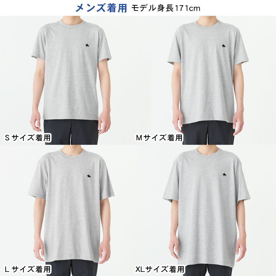 T����� ������ ��ã���� ������ ��˥��å��� ��ǥ����� ��� ���åȥ� �� Ⱦµ ���ݥ���� ������pt100��