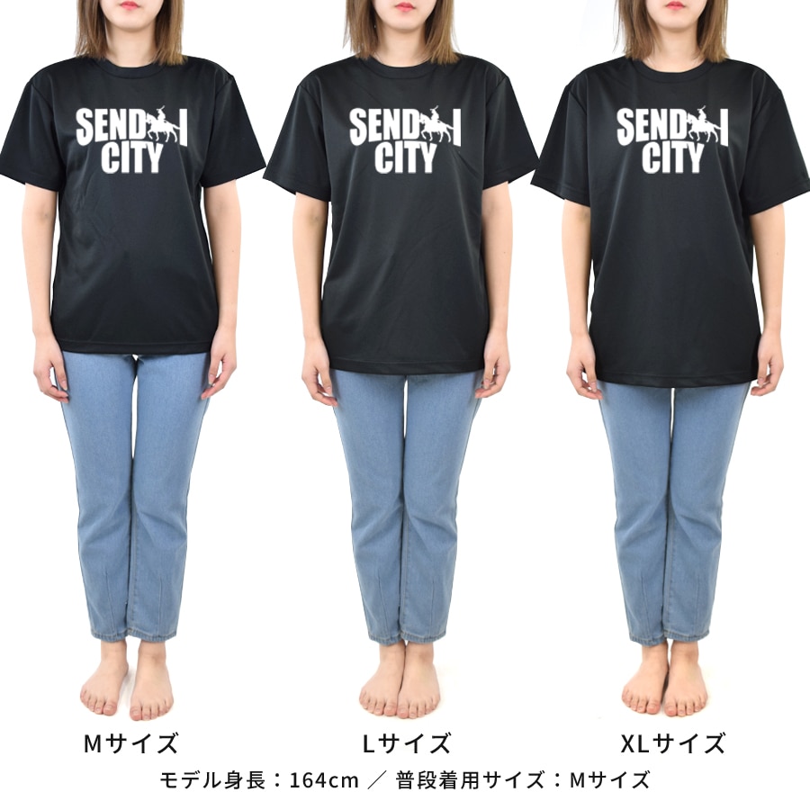 ��ã���� ver.5 - ������� T����� Ⱦµ ��ǥ����� ��� �礭�������� �ɥ饤 ®�� ���󥰾� �ɥ饤 UV���å� �ӥå� ��å��������pt100��