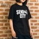 ��ã���� ver.5 - ������� T����� Ⱦµ ��ǥ����� ��� �礭�������� �ɥ饤 ®�� ���󥰾� �ɥ饤 UV���å� �ӥå� ��å��������pt100��