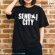 ��ã���� ver.5 - ������� T����� Ⱦµ ��ǥ����� ��� �礭�������� �ɥ饤 ®�� ���󥰾� �ɥ饤 UV���å� �ӥå� ��å��������pt100��