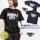 ��ã���� ver.5 - ������� T����� Ⱦµ ��ǥ����� ��� �礭�������� �ɥ饤 ®�� ���󥰾� �ɥ饤 UV���å� �ӥå� ��å��������pt100��