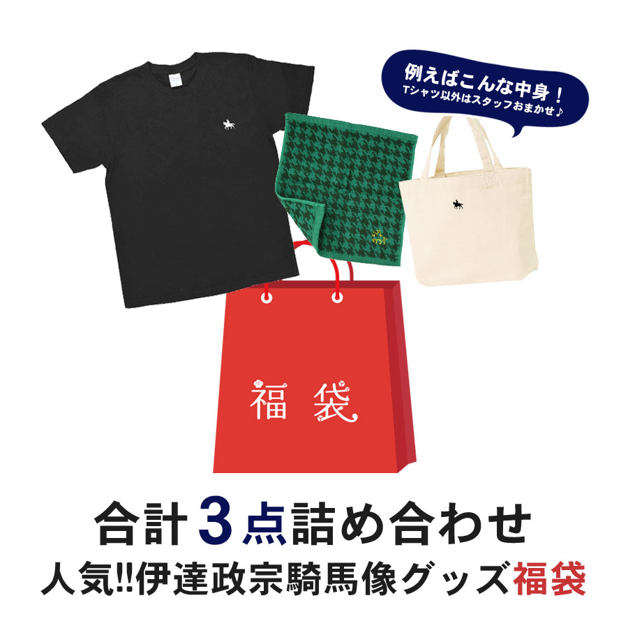 �Υ����ݥ������Բġ�ʡ�� 2026 ��ã���� 3�����å� T����� �ߥ˥ȡ��� �����Х� ������ϥ󥫥� ���٤� ������pt100��