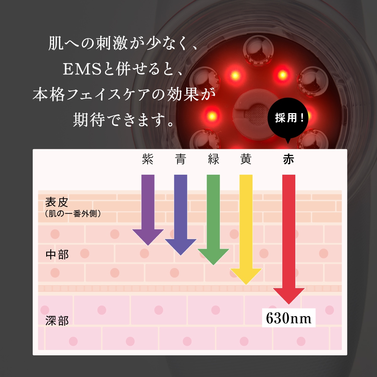 EMS Slim Esthe Plus