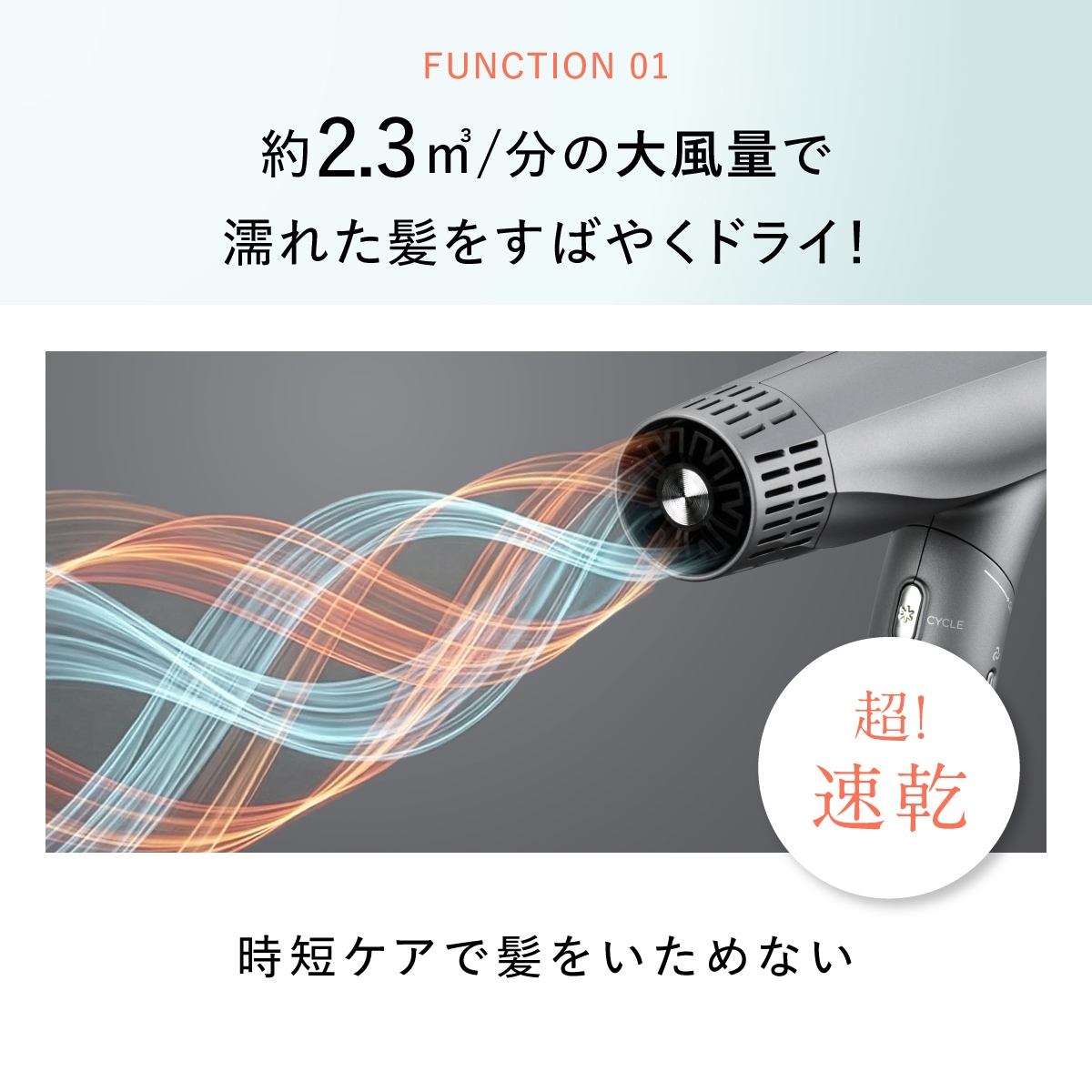 Dual Care Dryer