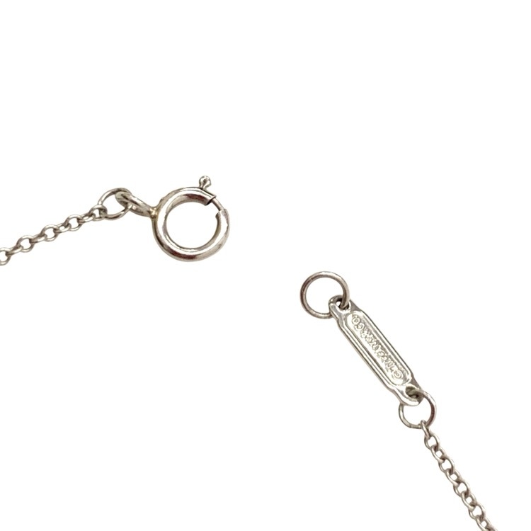 Tiffany & Co. ティファニー ファイヤーフライ ミディアム ペンダント PT900 K18 ガーネット