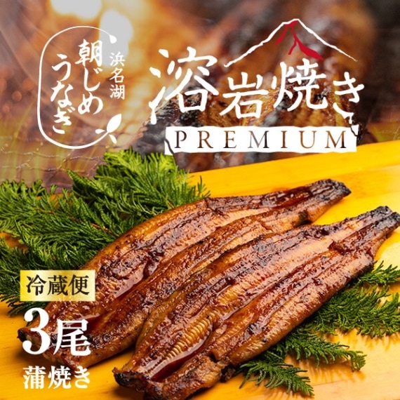 浜名湖産朝じめうなぎ溶岩焼き蒲焼き3尾（4～5人前）【浜名湖産・国産】【長焼き】※下準備に2営業日かかります。