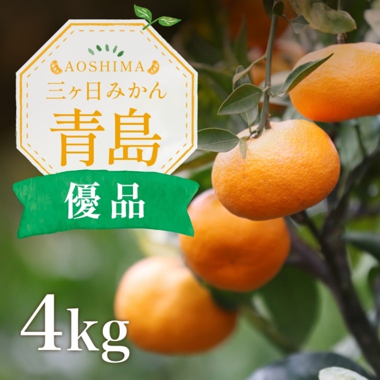 三ケ日濃厚熟みかん「青島」4kg(S～LLサイズ)（優品相当） - 浜名湖