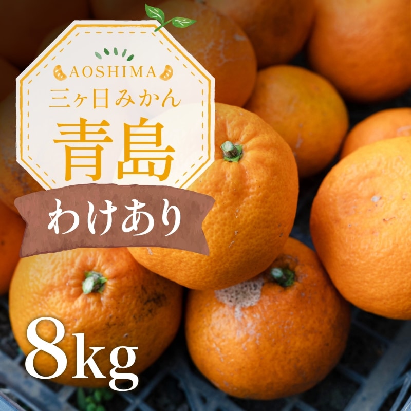 【訳あり】三ケ日濃厚熟みかん「青島」8kg(サイズ不選別)