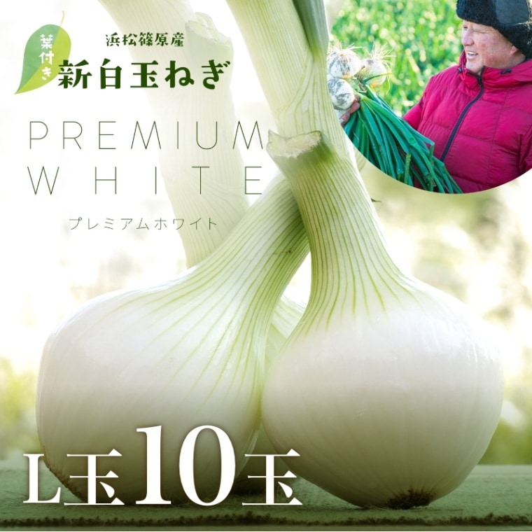 浜松産白玉ねぎプレミアムホワイト葉付きA級品（L10玉）