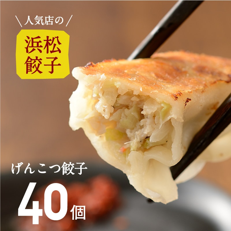 【人気店の浜松餃子】パンチのある肉感！げんこつ餃子【40個】（20個入×2袋）ご家庭用