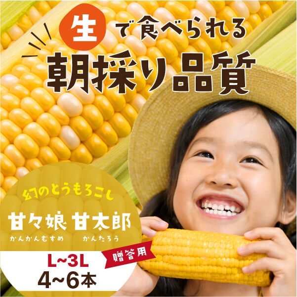 静岡県産とうもろこし 甘々娘甘太郎（かんかんむすめかんたろう