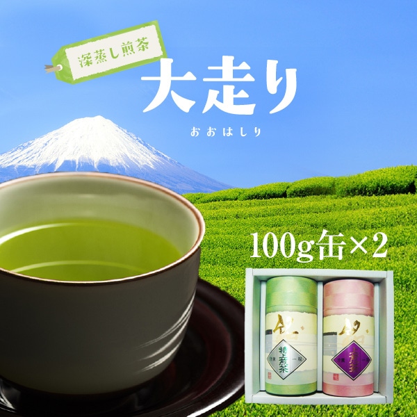 【贈答品】【静岡茶】極上深蒸し茶大走り100g缶2個セット【農家直送】