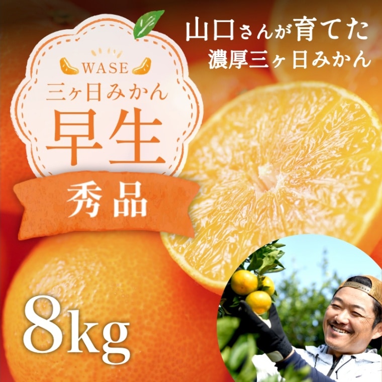 三ケ日みかん「早生(わせ)」8kg(S~LLミックスサイズ)(秀品相当)
