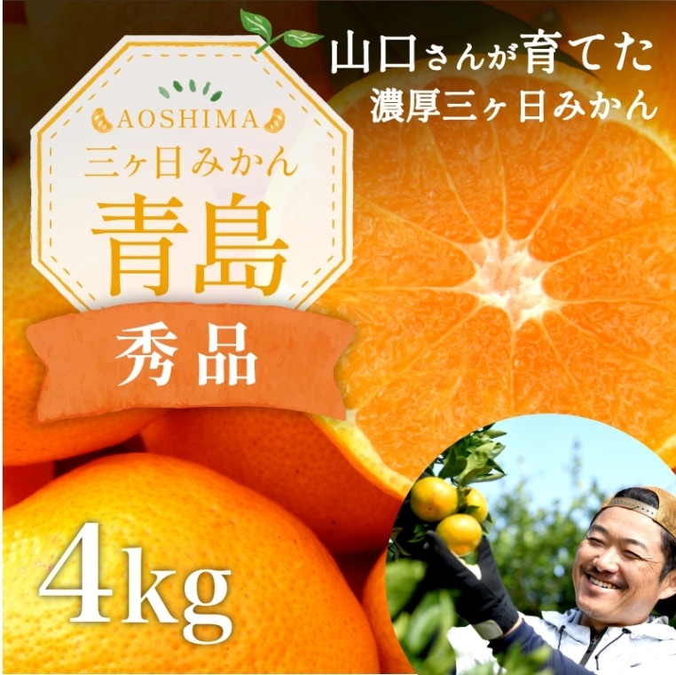 三ケ日濃厚熟みかん「青島」4kg(S～LLサイズ)（秀品相当）