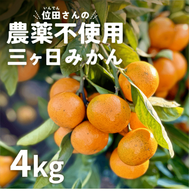 位田さんの農薬不使用三ヶ日みかん 4kg(極早生)