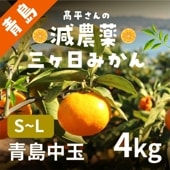【青島中玉S～L】 高平さんの減農薬 三ヶ日みかん 4kg