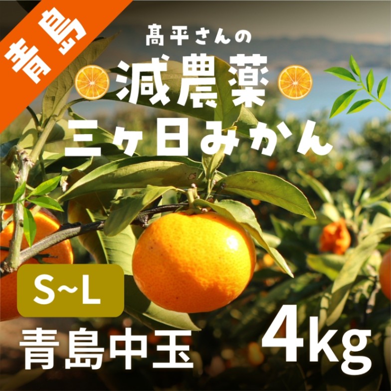 27日〜30日発送お休み○みかんページ 楽天市場】【ふるさと納税】【期間限定発送】 みかん 訳あり