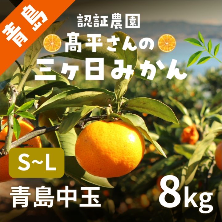 【青島中玉S～L】 認証農園髙平さんの 三ヶ日みかん 8kg