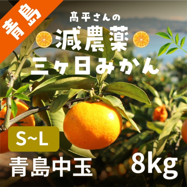 みかん通販・お取り寄せ商品一覧 の通販・お取り寄せ商品一覧