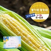 【父の日限定便】【300箱限定】静岡県産とうもろこし 甘々娘甘太郎（かんかんむすめかんたろう）L～3Lサイズ4～6本入り 期間数量限定
