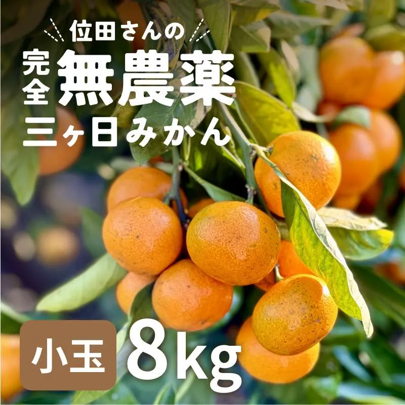 位田さんの完全無農薬三ヶ日みかん 小玉 8kg