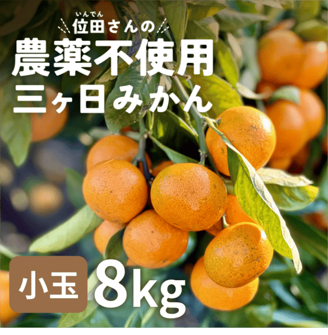 位田さんの農薬不使用三ヶ日みかん 小玉 8kg