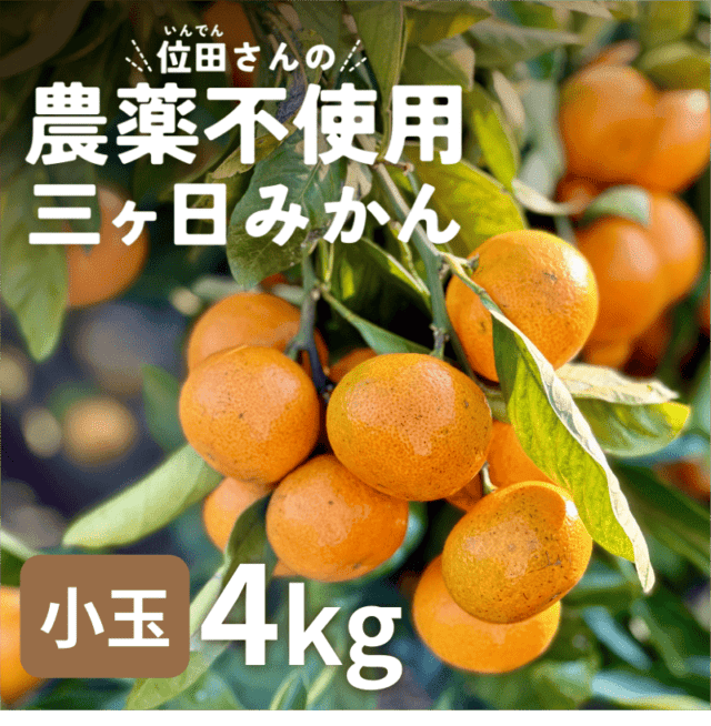 位田さんの農薬不使用三ヶ日みかん 小玉 4kg（極早生）