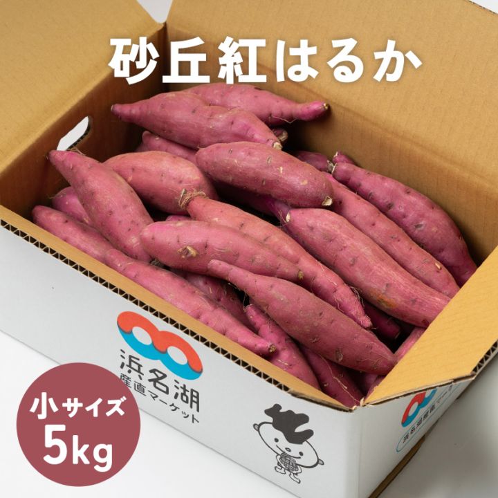 さつまいも 砂丘紅はるか 約5kg (小サイズ 1本 約50〜149g）