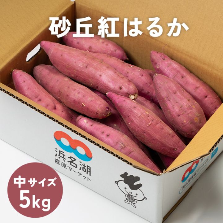 さつまいも 砂丘紅はるか 約5kg (中サイズ 1本 約150g 〜299g）