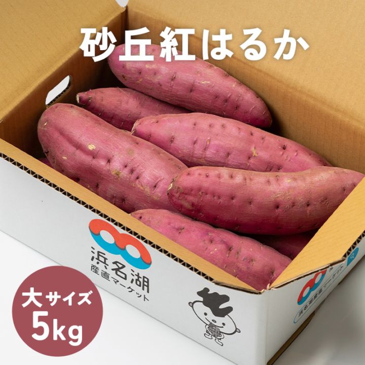 さつまいも 砂丘紅はるか 約5kg (大サイズ 1本 約300g以上）