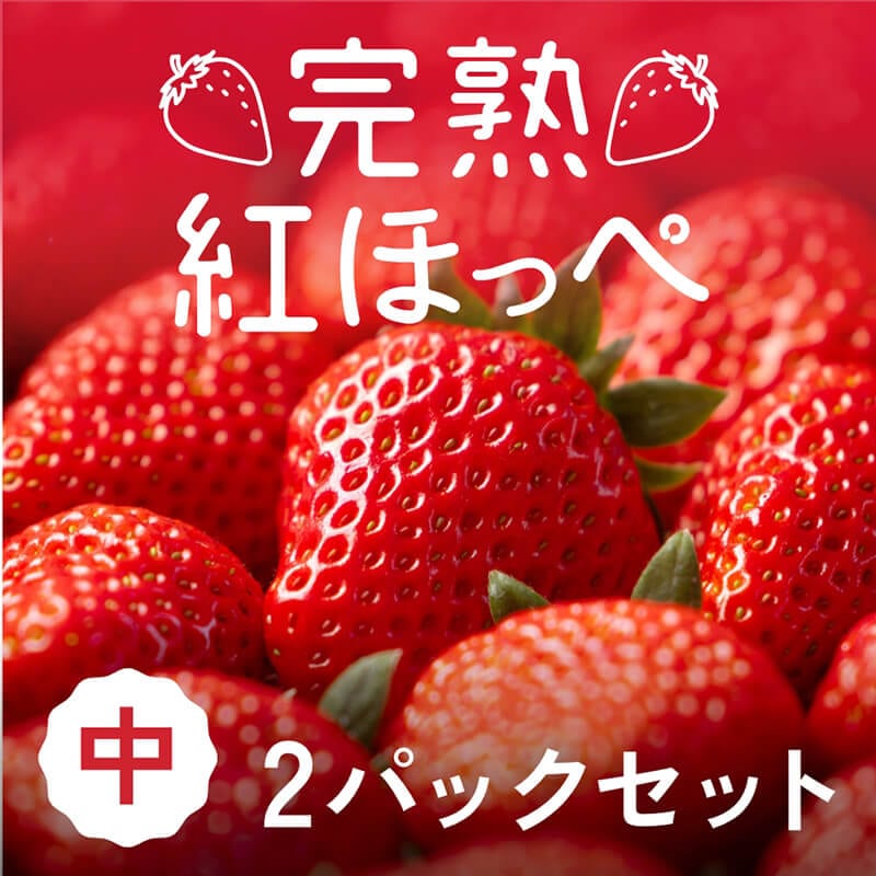 静岡県産】朝採り完熟紅ほっぺ 中2パックセット（1パックあたり9～12粒