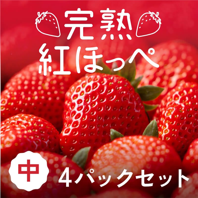 【静岡県産】朝採り完熟紅ほっぺ 中4パックセット（1パックあたり9～12粒）