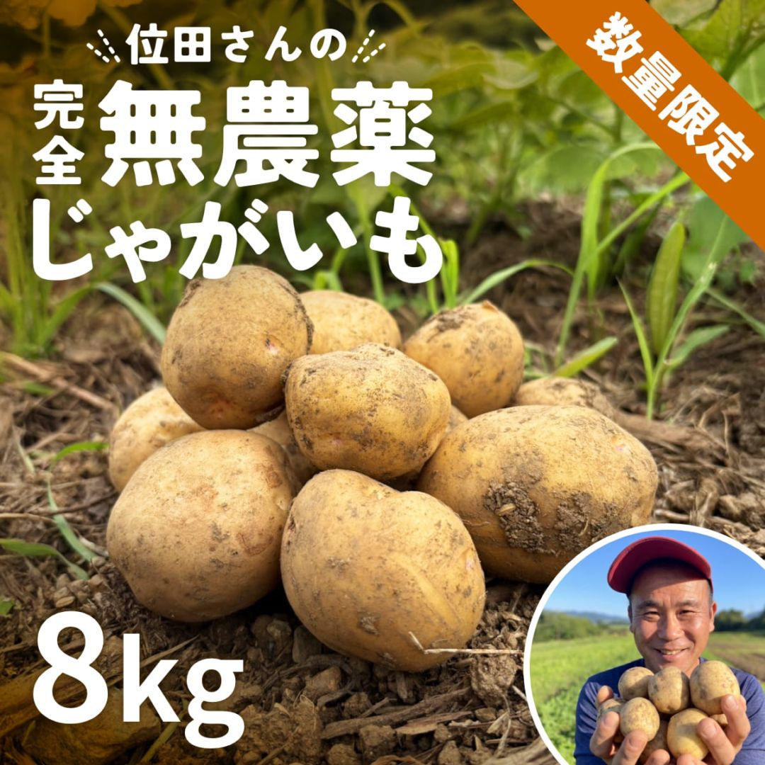 野菜・フルーツ,無農薬じゃがいも の通販・お取り寄せ商品一覧- 浜名湖