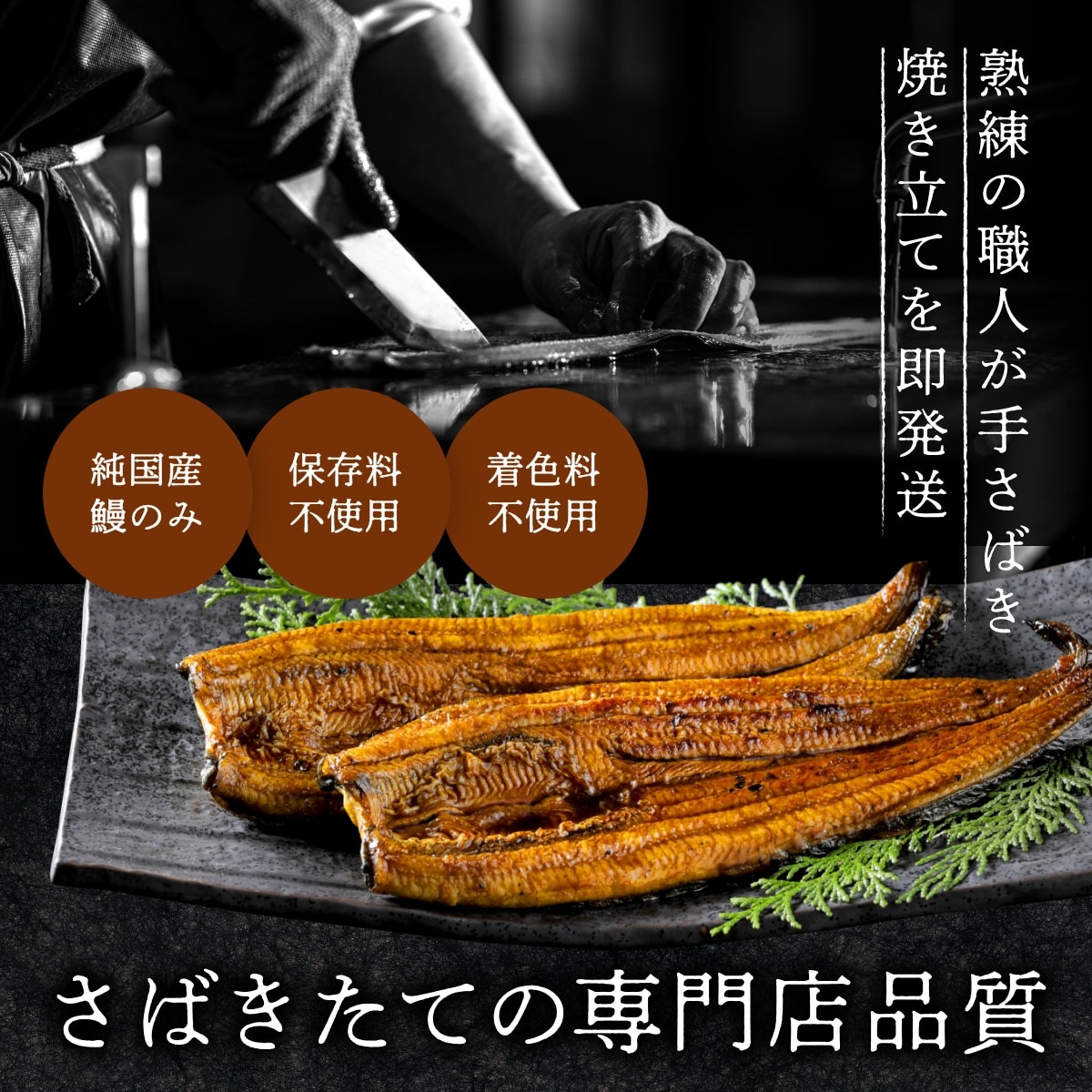 朝じめうなぎ蒲焼き1尾（1人前）【国産】【長焼き】