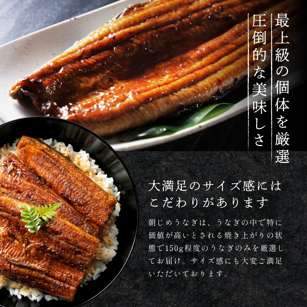 朝じめうなぎ蒲焼き2尾（2～3人前）【国産】【長焼き】 - 浜名湖