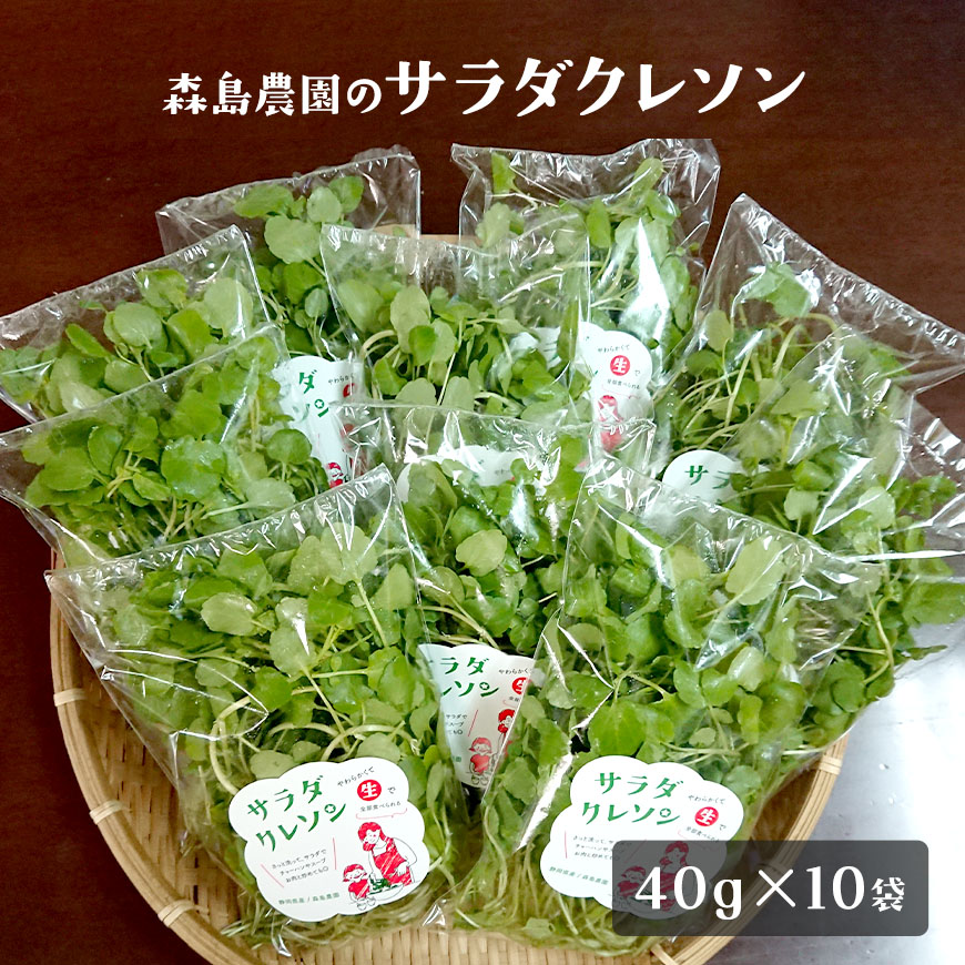 サラダクレソン 40g×10袋セット