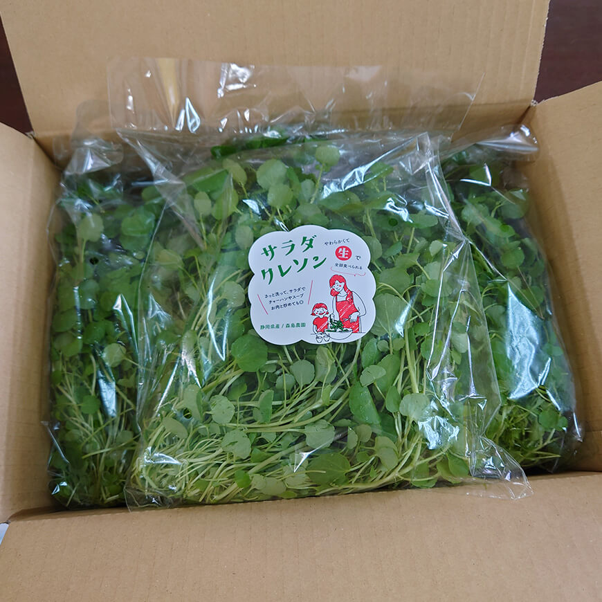 大容量でお買得♪サラダクレソン 1kg（200g×5袋）セット