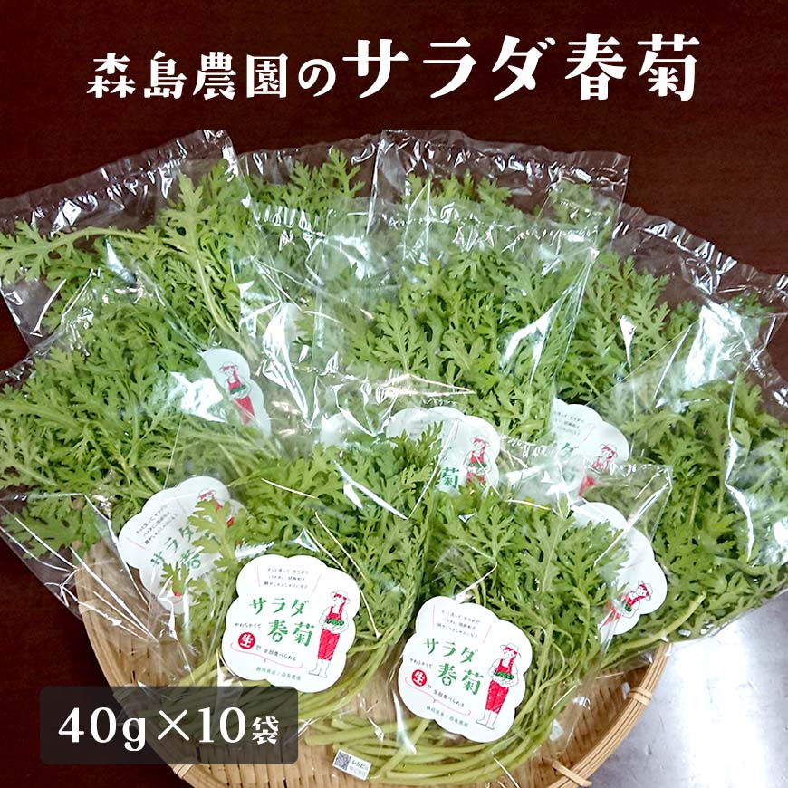 サラダ春菊 40g×10袋セット