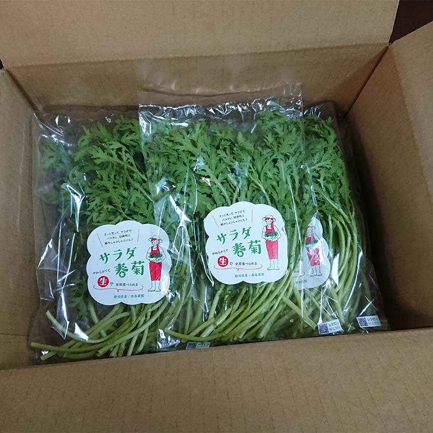 サラダ春菊 40g×10袋セット